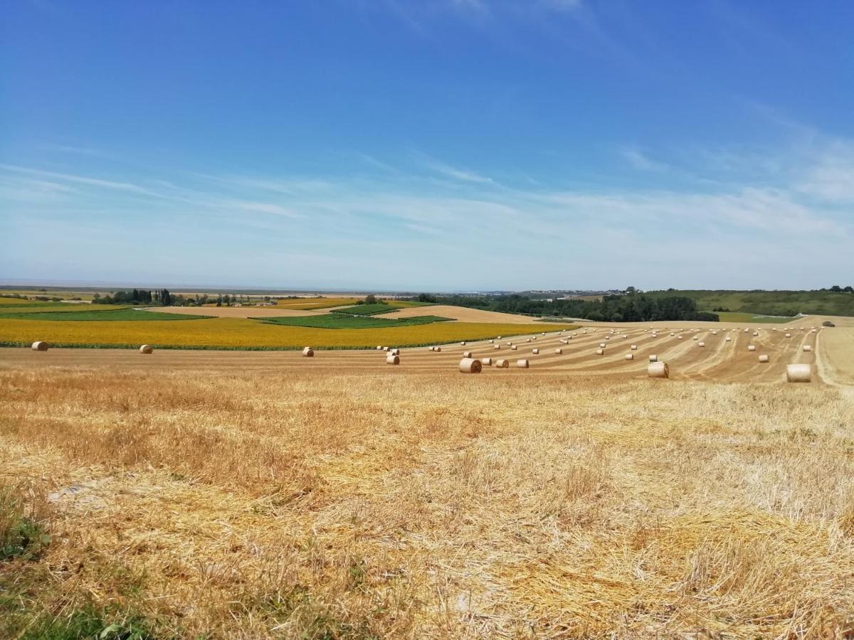 Chateau Des Salles Saint-Fort-sur-Gironde Eksteriør bilde